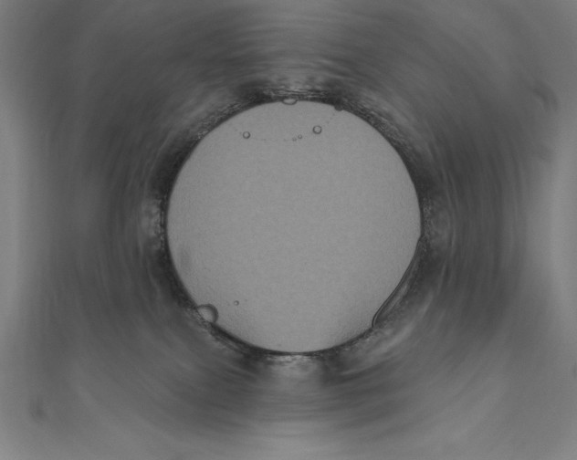 X0000111000087200907101501