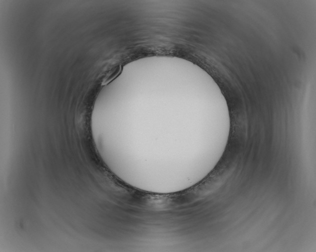 X0000111000088200907101501