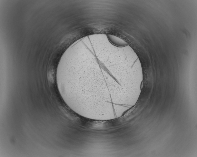 X0000111000090200907101501