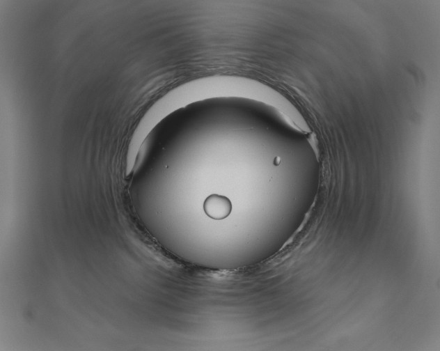 X0000111000092200907101501