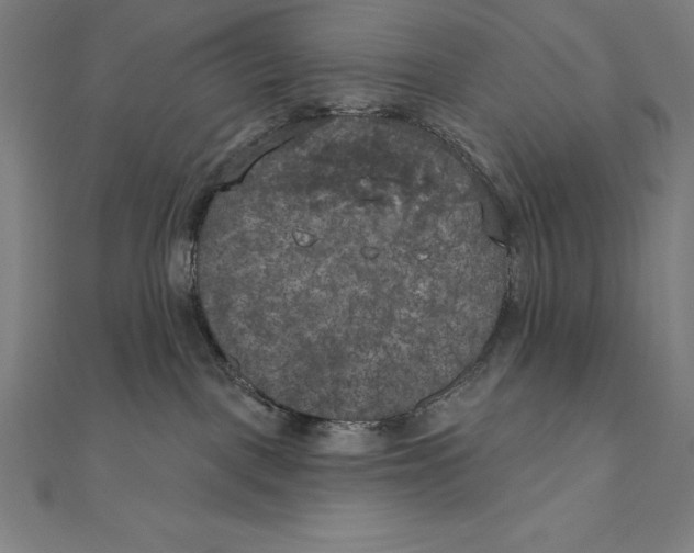 X0000111000093200907101501