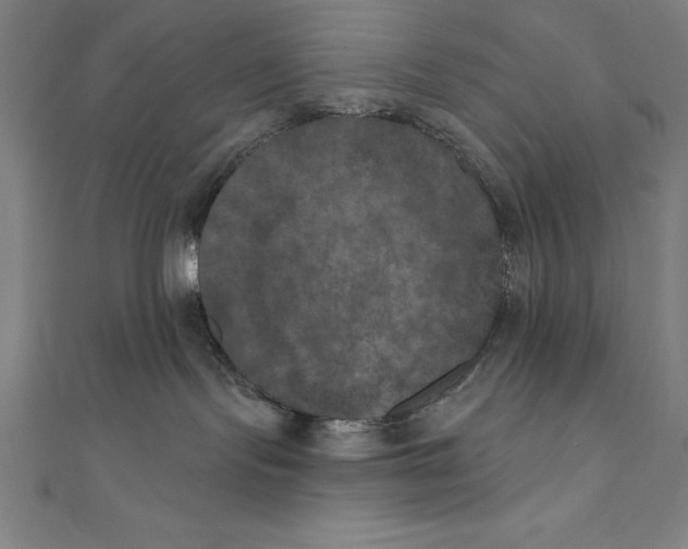 X0000111000095200907101501