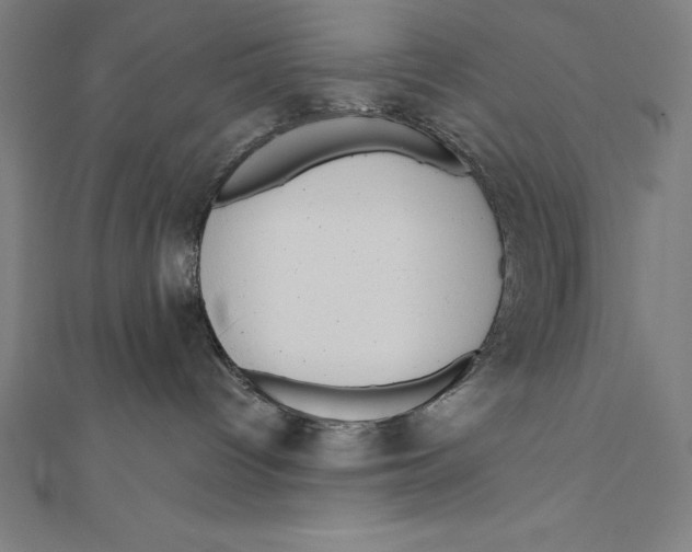 X0000111000096200907101501