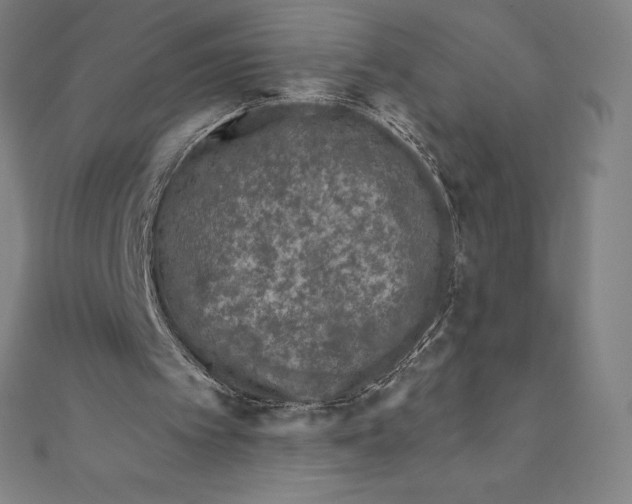 X0000111000097200907101501