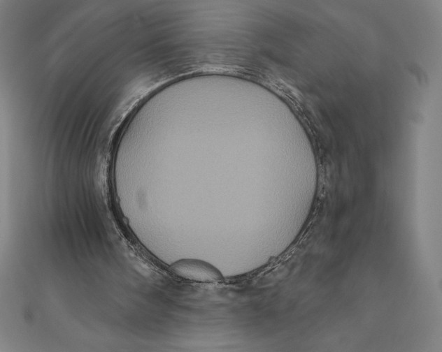 X0000111000098200907101500