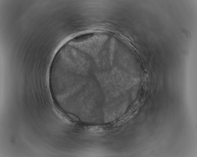 X0000111000100200907101500