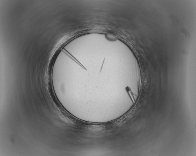 X0000111000102200907101500