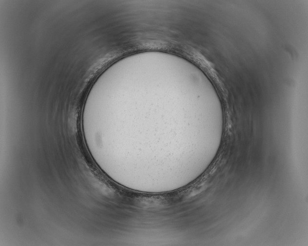 X0000111000106200907101500