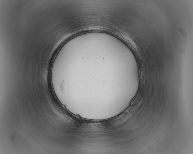 X0000111000108200907101500