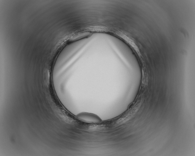 X0000111000109200907101500