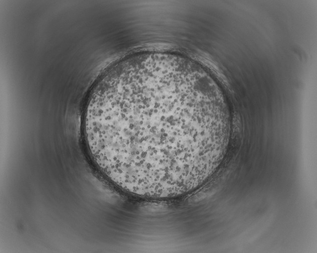 X0000111000110200907101500