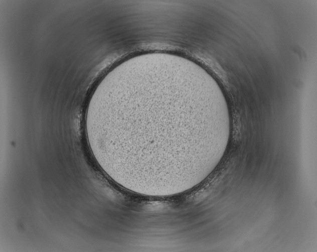 X0000111000111200907101500