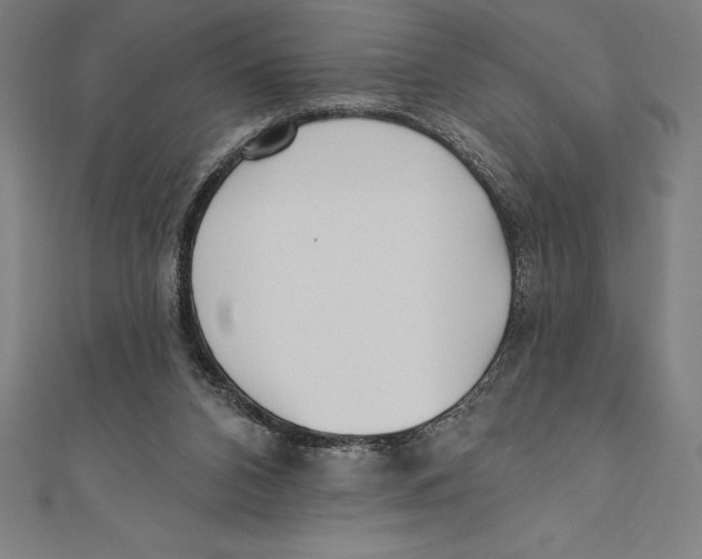 X0000111000112200907101500