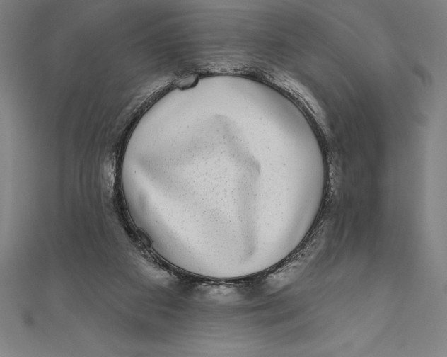 X0000111000113200907101500