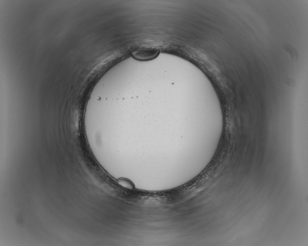 X0000111000115200907101500