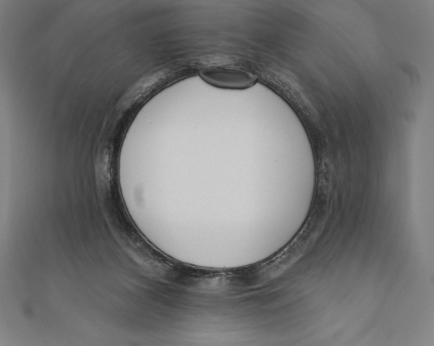 X0000111000116200907101500