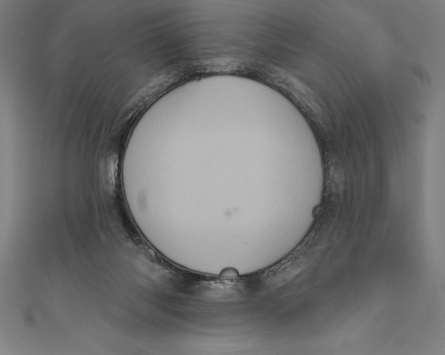 X0000111000118200907101500