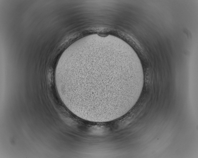 X0000111000119200907101500