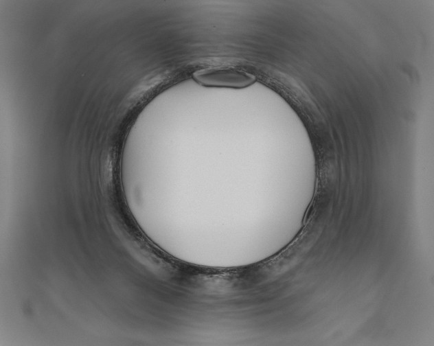 X0000111000120200907101500