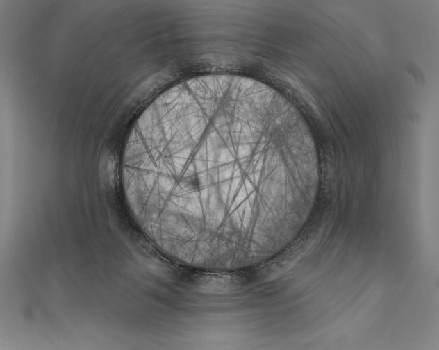 X0000111000123200907101500