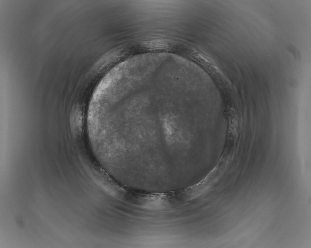 X0000111000124200907101500