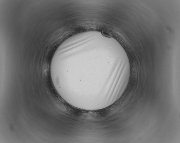 X0000111000125200907101500