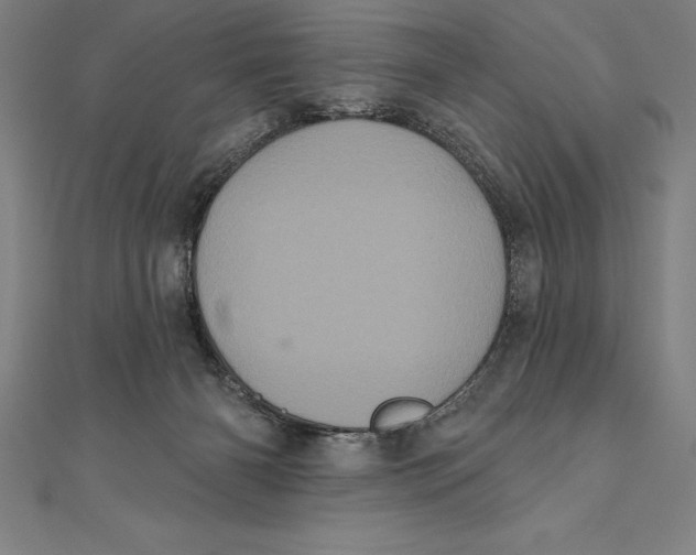 X0000111000126200907101500