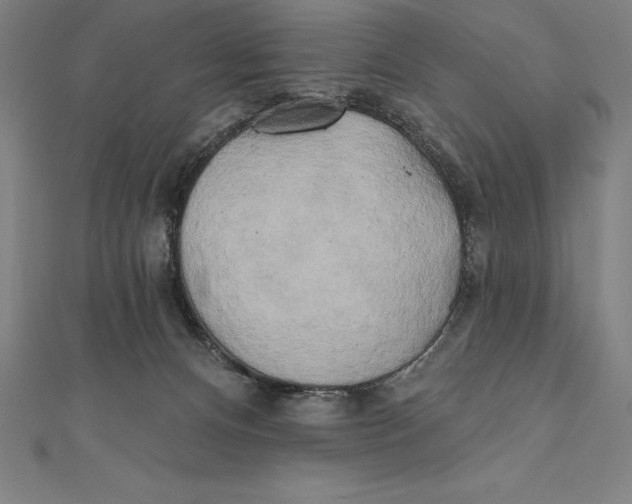 X0000111000128200907101500