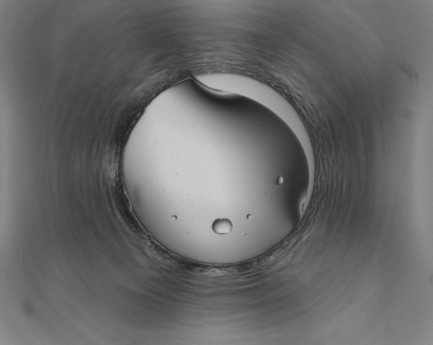 X0000111000129200907101500