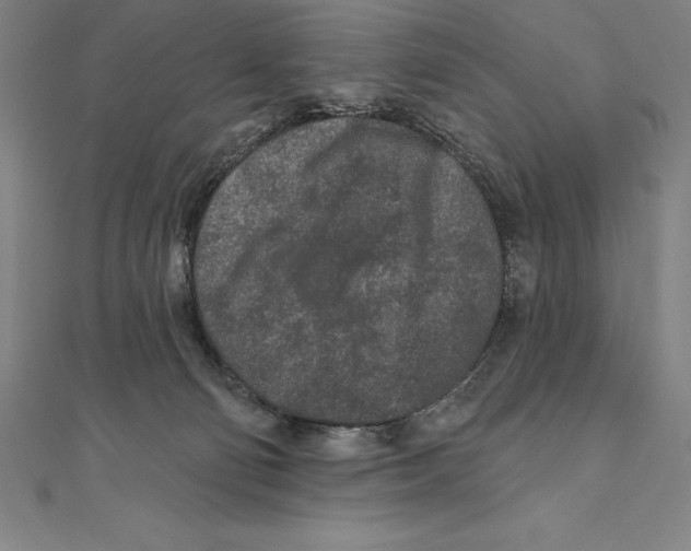 X0000111000130200907101500