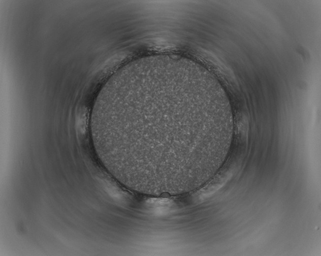 X0000111000133200907101500