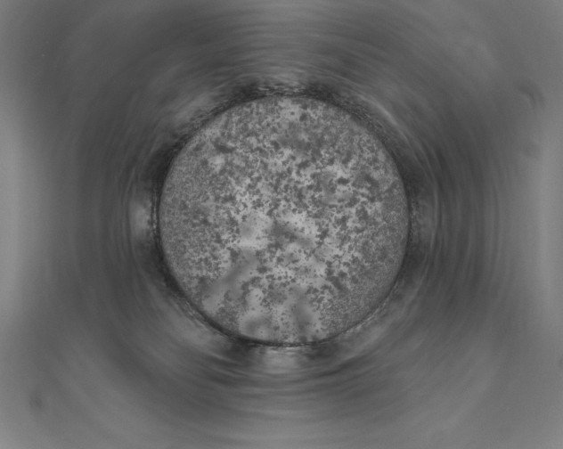 X0000111000134200907101500