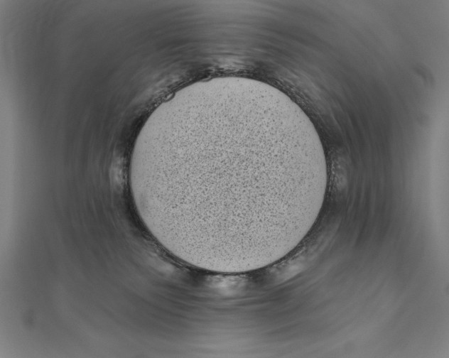 X0000111000135200907101500