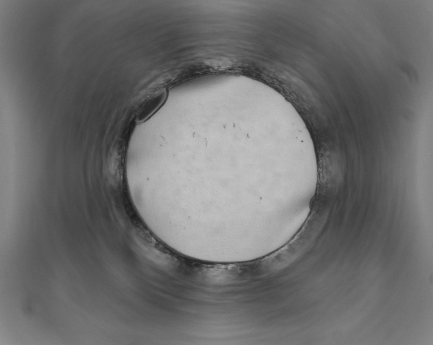 X0000111000136200907101500