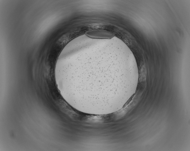 X0000111000140200907101500