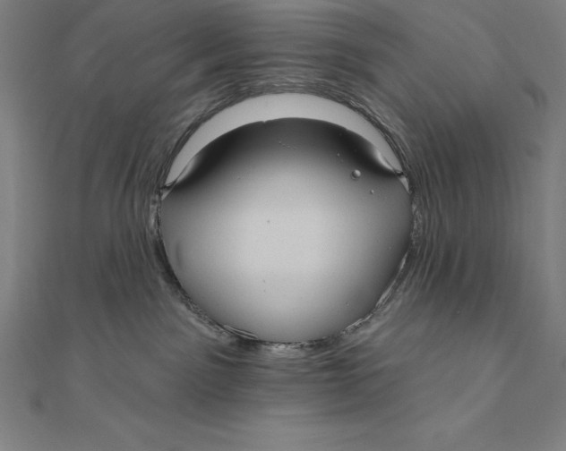 X0000111000141200907101500