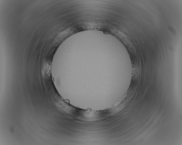 X0000111000142200907101500