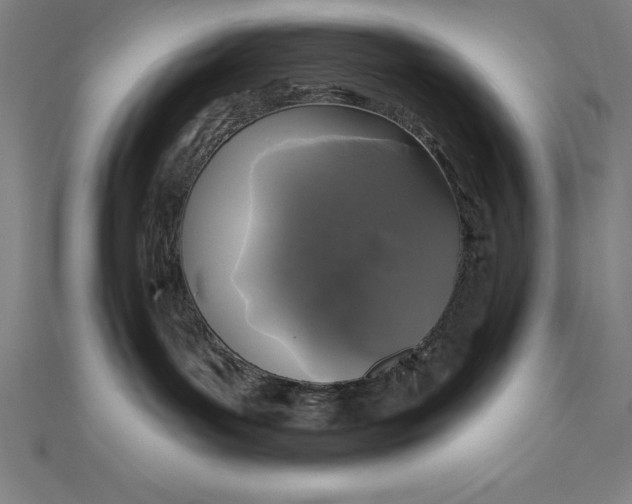 X0000111000143200907101500