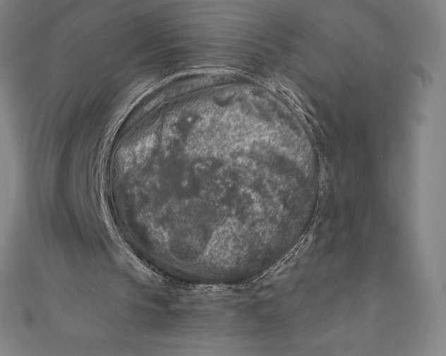 X0000111000145200907101459