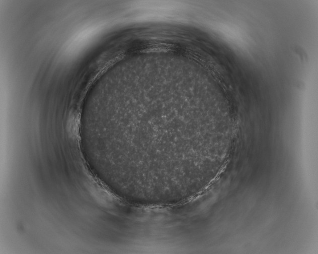 X0000111000146200907101459