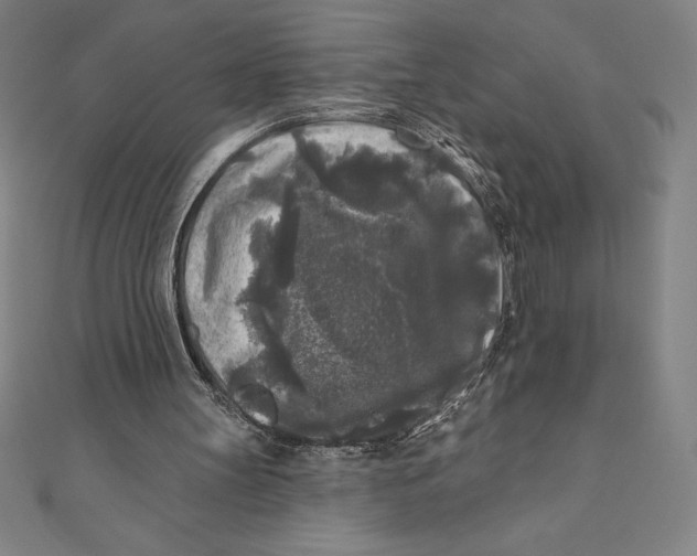 X0000111000147200907101459