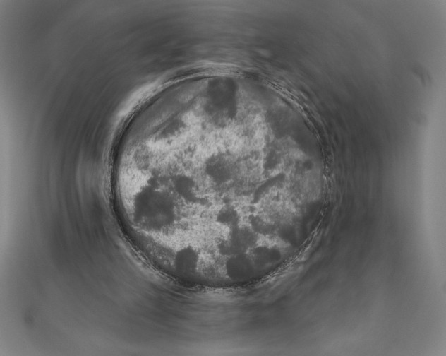 X0000111000149200907101459