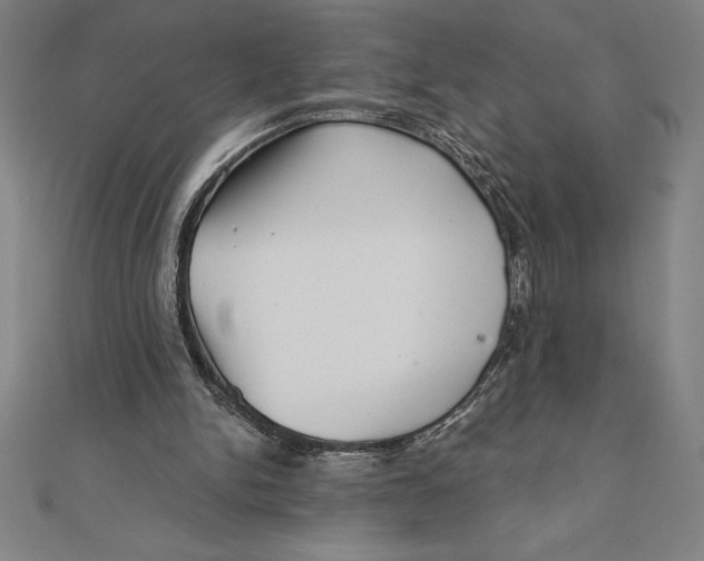 X0000111000150200907101459