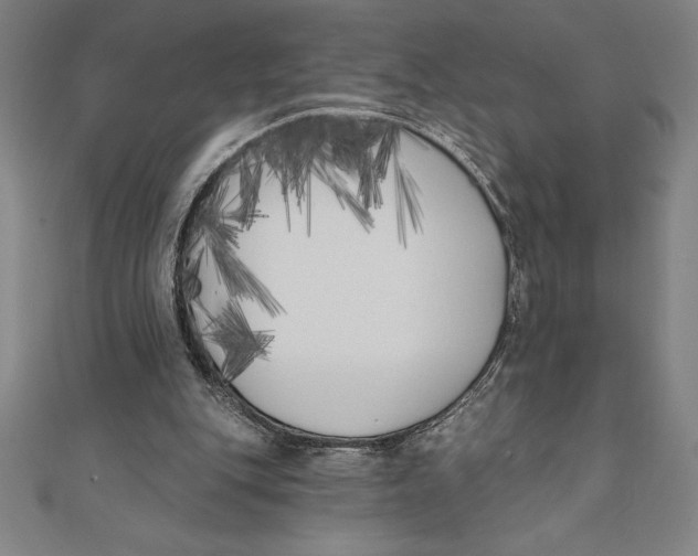 X0000111000151200907101459