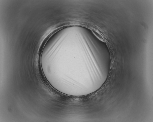 X0000111000152200907101459