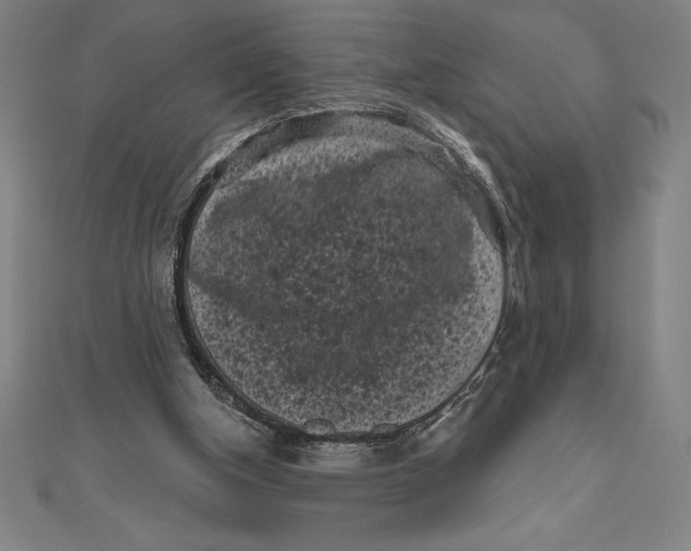 X0000111000154200907101459