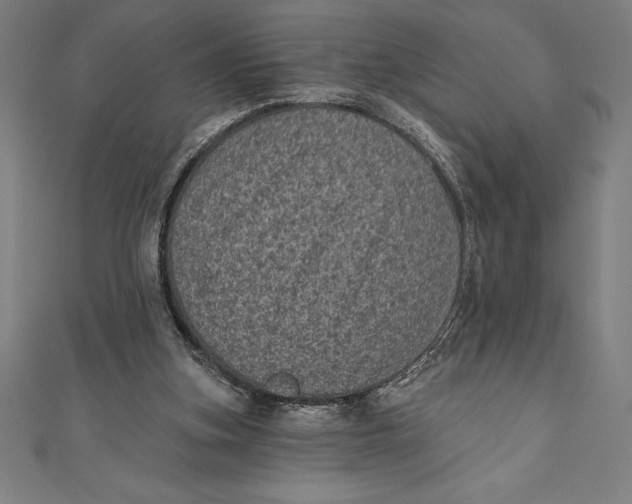 X0000111000155200907101459