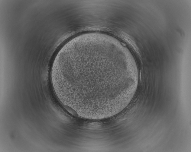 X0000111000156200907101459