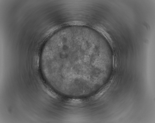 X0000111000157200907101459