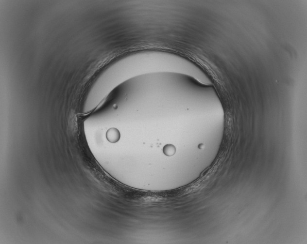 X0000111000158200907101459